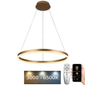 LED Żyrandol ściemnialny na lince LED/42W/230V 3000-6500K śr. 60 cm + zdalne sterowanie