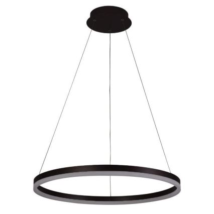 LED Żyrandol ściemnialny na lince LED/42W/230V 3000-6500K śr. 60 cm + zdalne sterowanie
