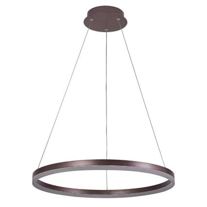 LED Żyrandol ściemnialny na lince LED/42W/230V 3000-6500K śr. 60 cm + zdalne sterowanie