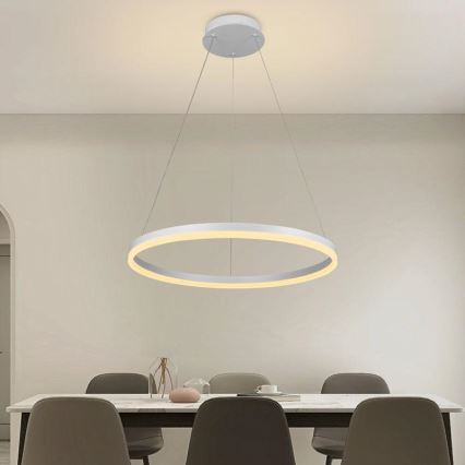 LED Żyrandol ściemnialny na lince LED/42W/230V 3000-6500K śr. 60 cm + zdalne sterowanie