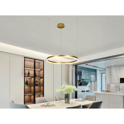 LED Żyrandol ściemnialny na lince LED/42W/230V 3000-6500K śr. 60 cm + zdalne sterowanie