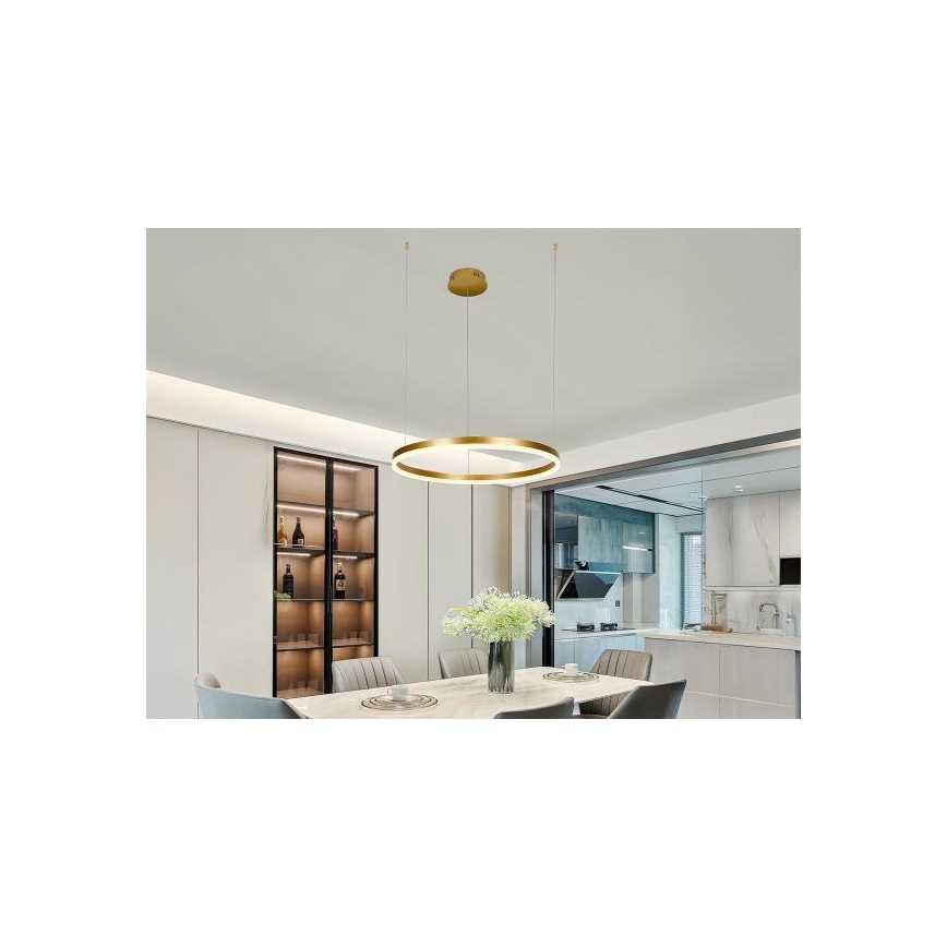 LED Żyrandol ściemnialny na lince LED/42W/230V 3000-6500K śr. 60 cm + zdalne sterowanie