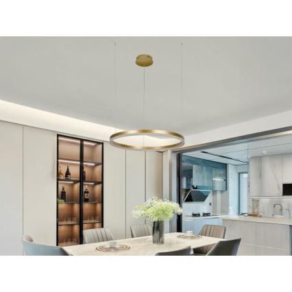 LED Żyrandol ściemnialny na lince LED/42W/230V 3000-6500K śr. 60 cm + zdalne sterowanie