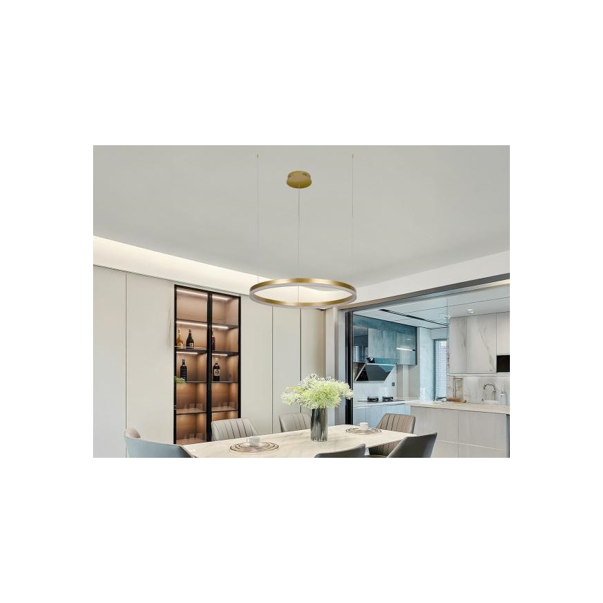 LED Żyrandol ściemnialny na lince LED/42W/230V 3000-6500K śr. 60 cm + zdalne sterowanie