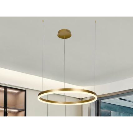 LED Żyrandol ściemnialny na lince LED/42W/230V 3000-6500K śr. 60 cm + zdalne sterowanie