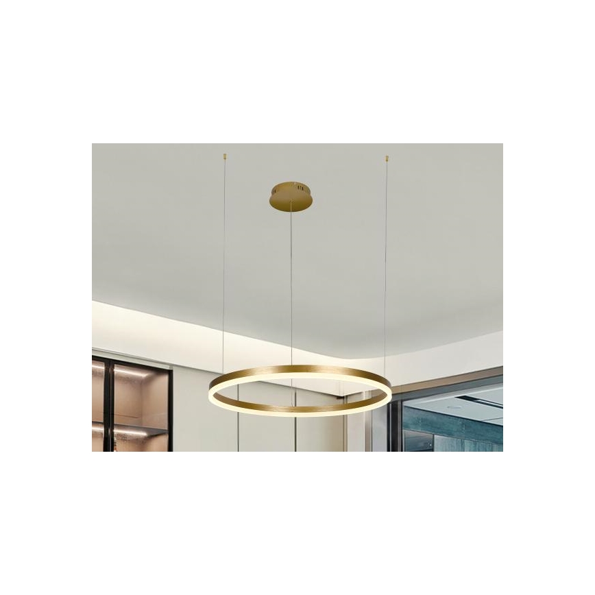 LED Żyrandol ściemnialny na lince LED/42W/230V 3000-6500K śr. 60 cm + zdalne sterowanie