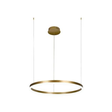LED Żyrandol ściemnialny na lince LED/42W/230V 3000-6500K śr. 60 cm + zdalne sterowanie