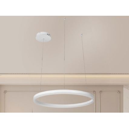 LED Żyrandol ściemnialny na lince LED/42W/230V 3000-6500K + zdalne sterowanie