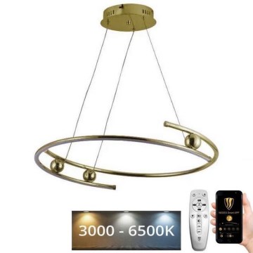LED Żyrandol ściemnialny na lince LED/50W/230V 3000-6500K śr. 60 cm + zdalne sterowanie