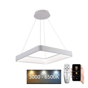 LED Żyrandol ściemnialny na lince LED/55W/230V 3000-6500K biała + pilot zdalnego sterowania