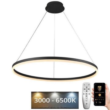 LED Żyrandol ściemnialny na lince LED/55W/230V 3000-6500K śr. 80 cm + zdalne sterowanie