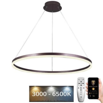 LED Żyrandol ściemnialny na lince LED/55W/230V 3000-6500K śr. 80 cm + zdalne sterowanie