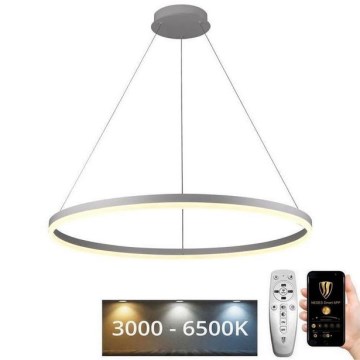 LED Żyrandol ściemnialny na lince LED/55W/230V 3000-6500K śr. 80 cm + zdalne sterowanie