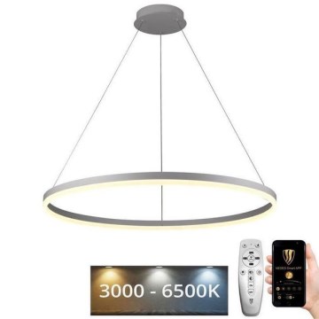 LED Żyrandol ściemnialny na lince LED/55W/230V 3000-6500K śr. 80 cm + zdalne sterowanie