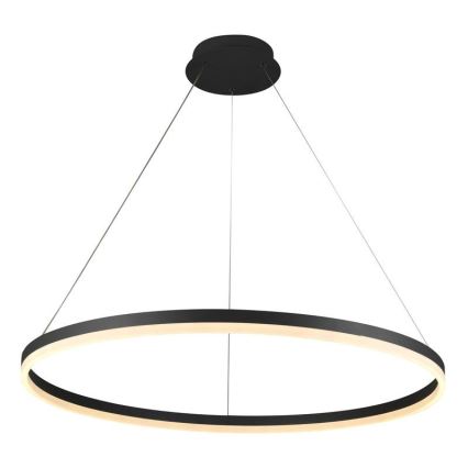LED Żyrandol ściemnialny na lince LED/55W/230V 3000-6500K śr. 80 cm + zdalne sterowanie