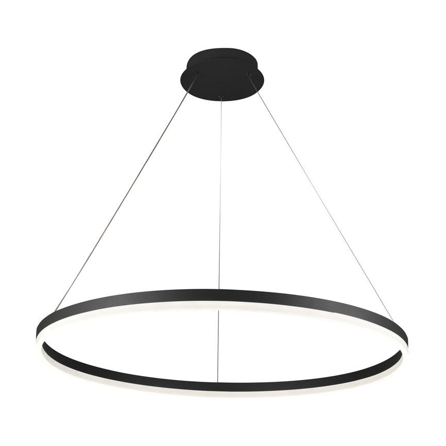 LED Żyrandol ściemnialny na lince LED/55W/230V 3000-6500K śr. 80 cm + zdalne sterowanie