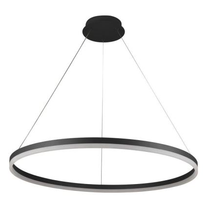 LED Żyrandol ściemnialny na lince LED/55W/230V 3000-6500K śr. 80 cm + zdalne sterowanie