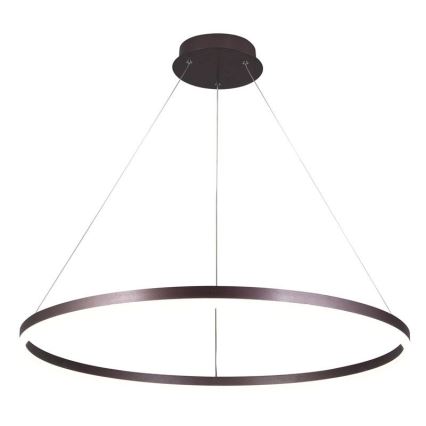 LED Żyrandol ściemnialny na lince LED/55W/230V 3000-6500K śr. 80 cm + zdalne sterowanie