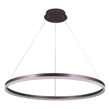 LED Żyrandol ściemnialny na lince LED/55W/230V 3000-6500K śr. 80 cm + zdalne sterowanie