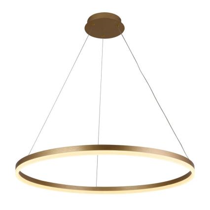 LED Żyrandol ściemnialny na lince LED/55W/230V 3000-6500K śr. 80 cm + zdalne sterowanie