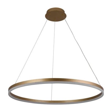 LED Żyrandol ściemnialny na lince LED/55W/230V 3000-6500K śr. 80 cm + zdalne sterowanie
