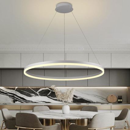 LED Żyrandol ściemnialny na lince LED/55W/230V 3000-6500K śr. 80 cm + zdalne sterowanie