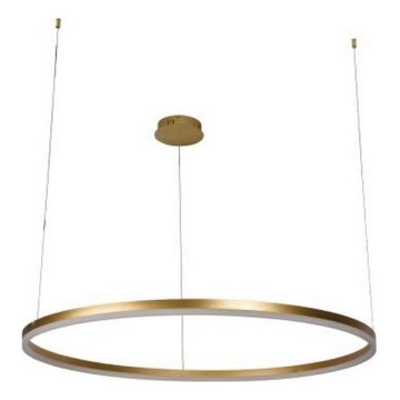 LED Żyrandol ściemnialny na lince LED/55W/230V 3000-6500K + zdalne sterowanie