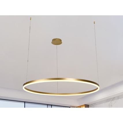 LED Żyrandol ściemnialny na lince LED/55W/230V 3000-6500K + zdalne sterowanie