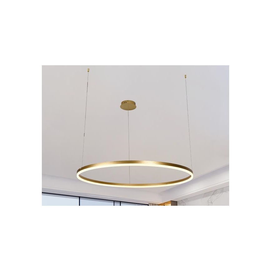 LED Żyrandol ściemnialny na lince LED/55W/230V 3000-6500K + zdalne sterowanie
