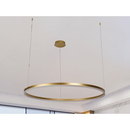 LED Żyrandol ściemnialny na lince LED/55W/230V 3000-6500K + zdalne sterowanie