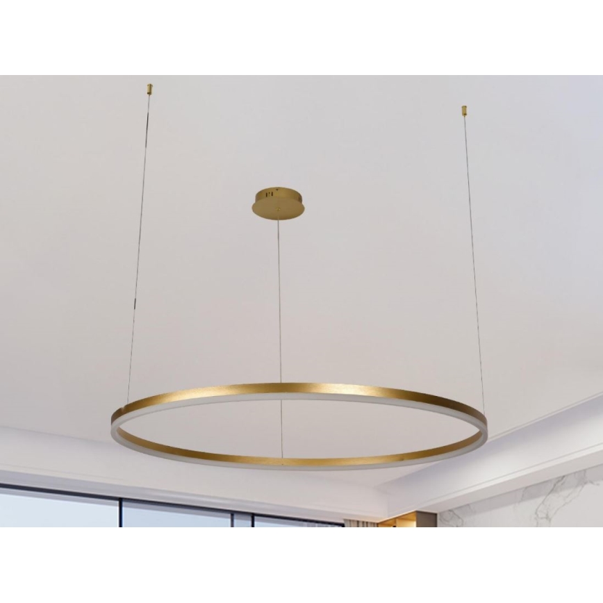 LED Żyrandol ściemnialny na lince LED/55W/230V 3000-6500K + zdalne sterowanie