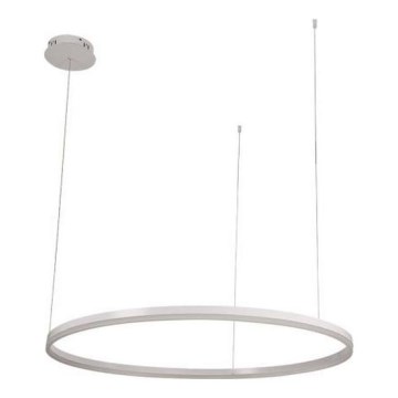 LED Żyrandol ściemnialny na lince LED/55W/230V 3000-6500K + zdalne sterowanie