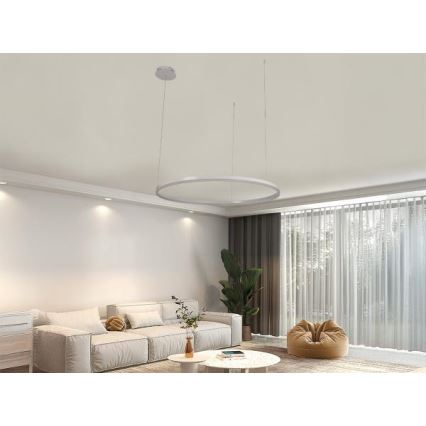 LED Żyrandol ściemnialny na lince LED/55W/230V 3000-6500K + zdalne sterowanie