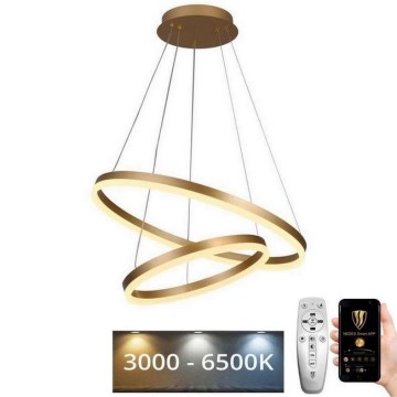 LED Żyrandol ściemnialny na lince LED/70W/230V 3000-6500K śr. 60 cm + zdalne sterowanie