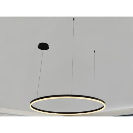 LED Żyrandol ściemnialny na lince LED/72W/230V 3000-6500K + zdalne sterowanie