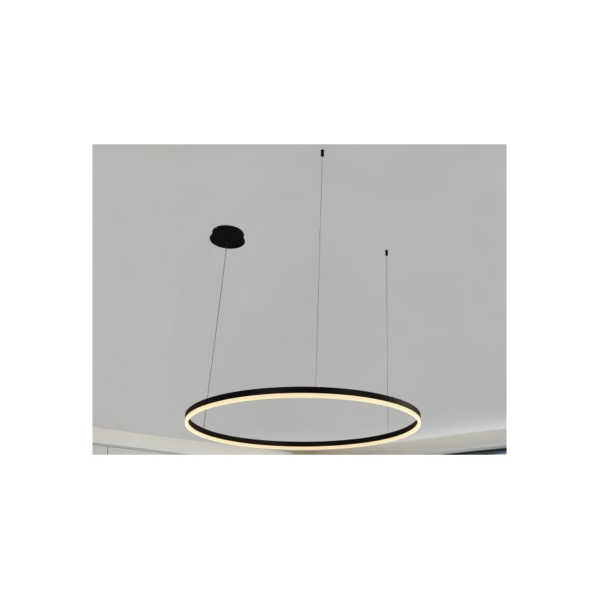 LED Żyrandol ściemnialny na lince LED/72W/230V 3000-6500K + zdalne sterowanie