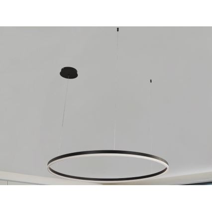 LED Żyrandol ściemnialny na lince LED/72W/230V 3000-6500K + zdalne sterowanie
