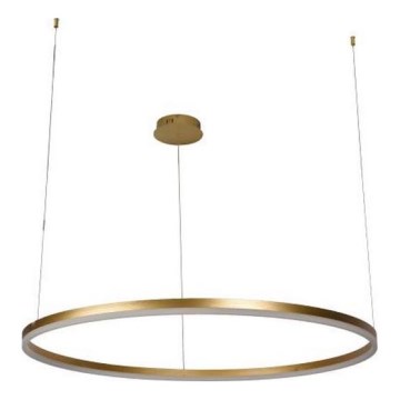 LED Żyrandol ściemnialny na lince LED/72W/230V 3000-6500K + zdalne sterowanie