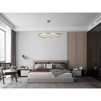 LED Żyrandol ściemnialny na lince LED/72W/230V 3000-6500K + zdalne sterowanie
