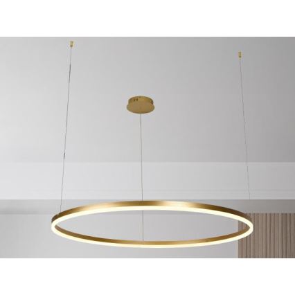 LED Żyrandol ściemnialny na lince LED/72W/230V 3000-6500K + zdalne sterowanie