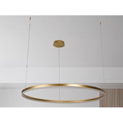 LED Żyrandol ściemnialny na lince LED/72W/230V 3000-6500K + zdalne sterowanie