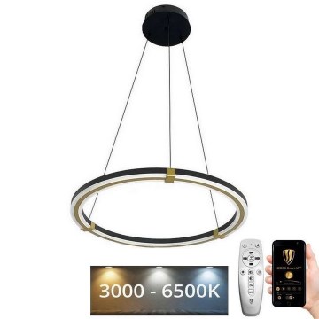 LED Żyrandol ściemnialny na lince LED/75W/230V 3000-6500K śr. 60 cm + zdalne sterowanie
