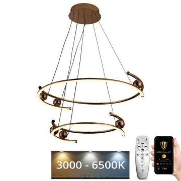 LED Żyrandol ściemnialny na lince LED/80W/230V 3000-6500K śr. 60 cm + zdalne sterowanie
