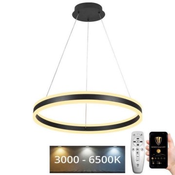 LED Żyrandol ściemnialny na lince LED/85W/230V 3000-6500K śr. 60 cm + zdalne sterowanie