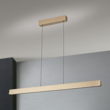 LED Żyrandol ściemnialny na lince TARA LED/44W/230V 2700/3800/4500/5700K złoty