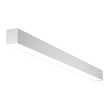 LED2 - LED Lampa sufitowa NOLI LED/40W/230V 3000K/3500K/4000K biała