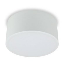 LED2 - LED Oświetlenie sufitowe BUTTON LED/17W/230V białe