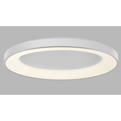 LED2 - LED Plafon ściemnialny BELLA LED/80W/230V 3000K/4000K białe