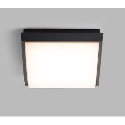 LED2 - LED Plafon zewnętrzny QUADO LED/10W/230V antracyt IP54