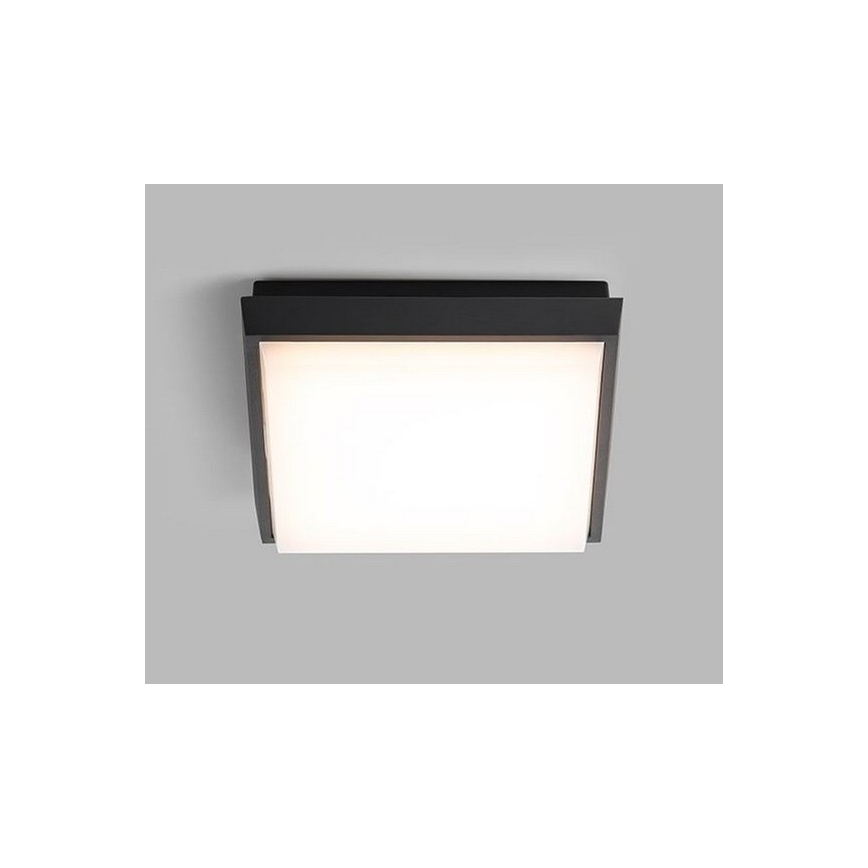 LED2 - LED Plafon zewnętrzny QUADO LED/10W/230V antracyt IP54